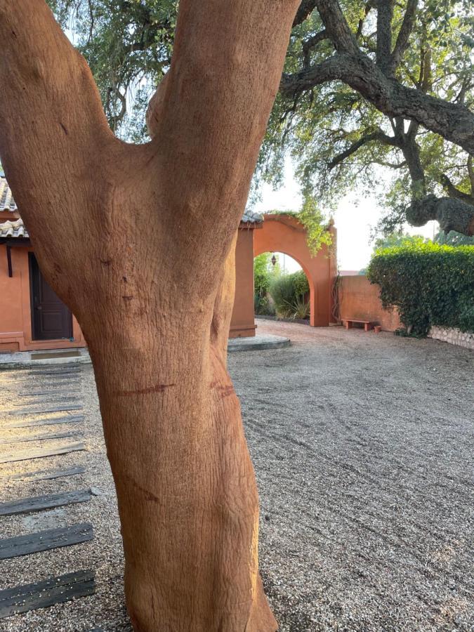Casa Do Sobro Villa Santo Estevao  ภายนอก รูปภาพ