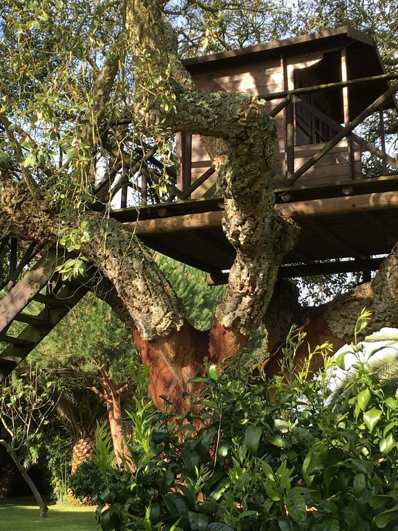 Casa Do Sobro Villa Santo Estevao  ภายนอก รูปภาพ
